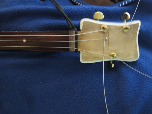 Cigar Box Guitar
