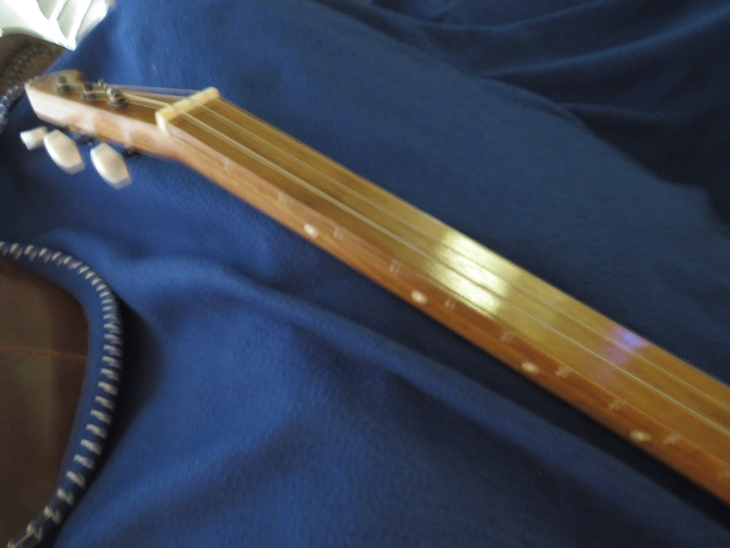 Cigar Box Guitar