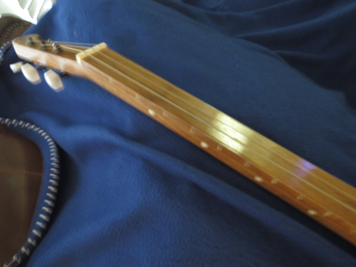 Cigar Box Guitar