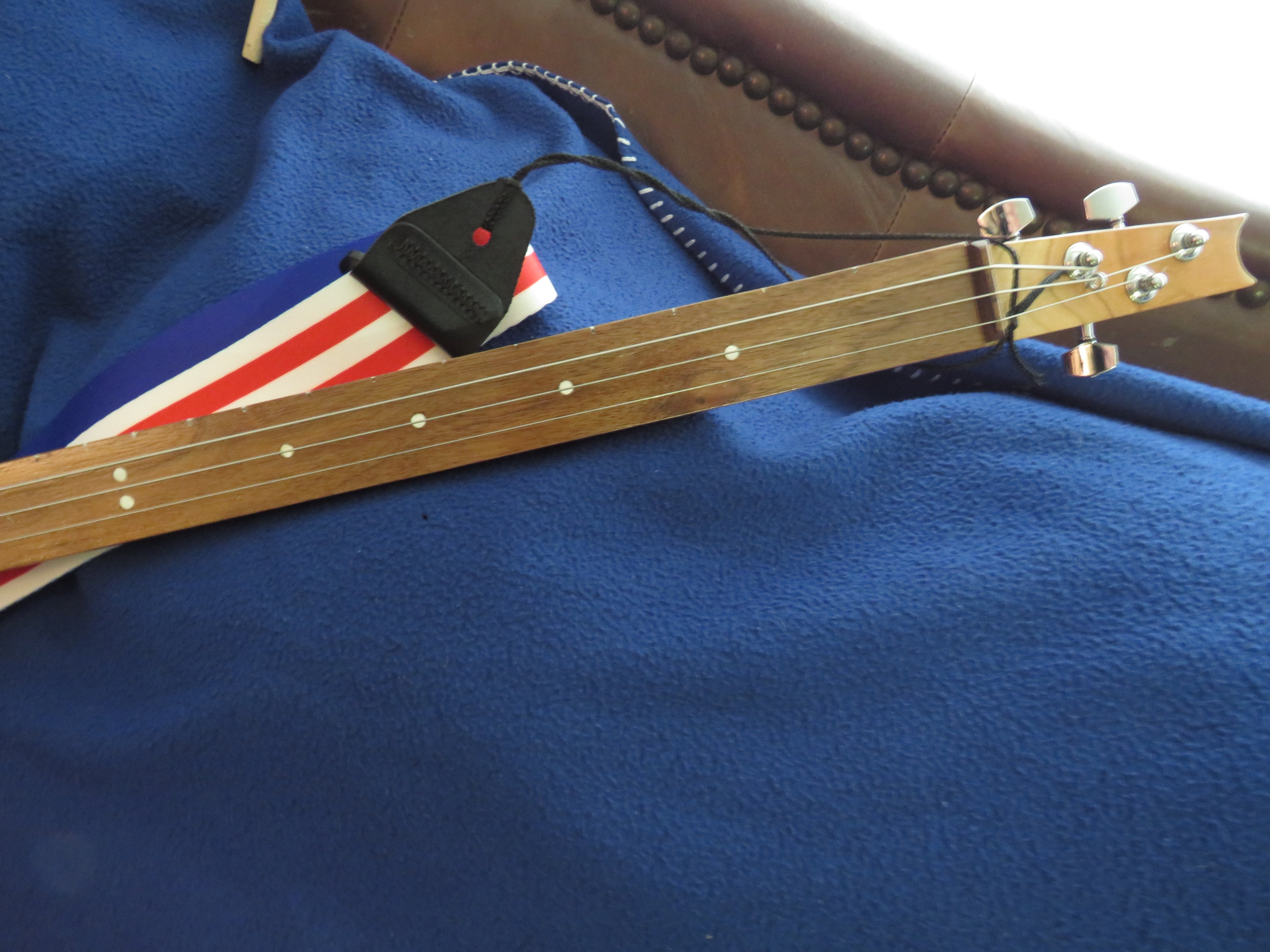 Cigar Box Guitar